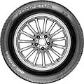 Lassa Competus H/P